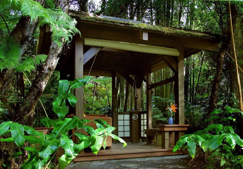 Volcano Rainforest Retreat