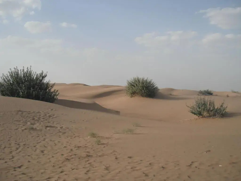 Gajanand Guest House