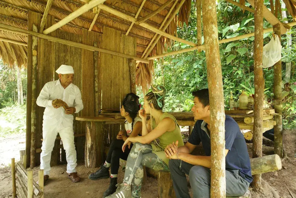 Shapshico Lodge Ayahuasca