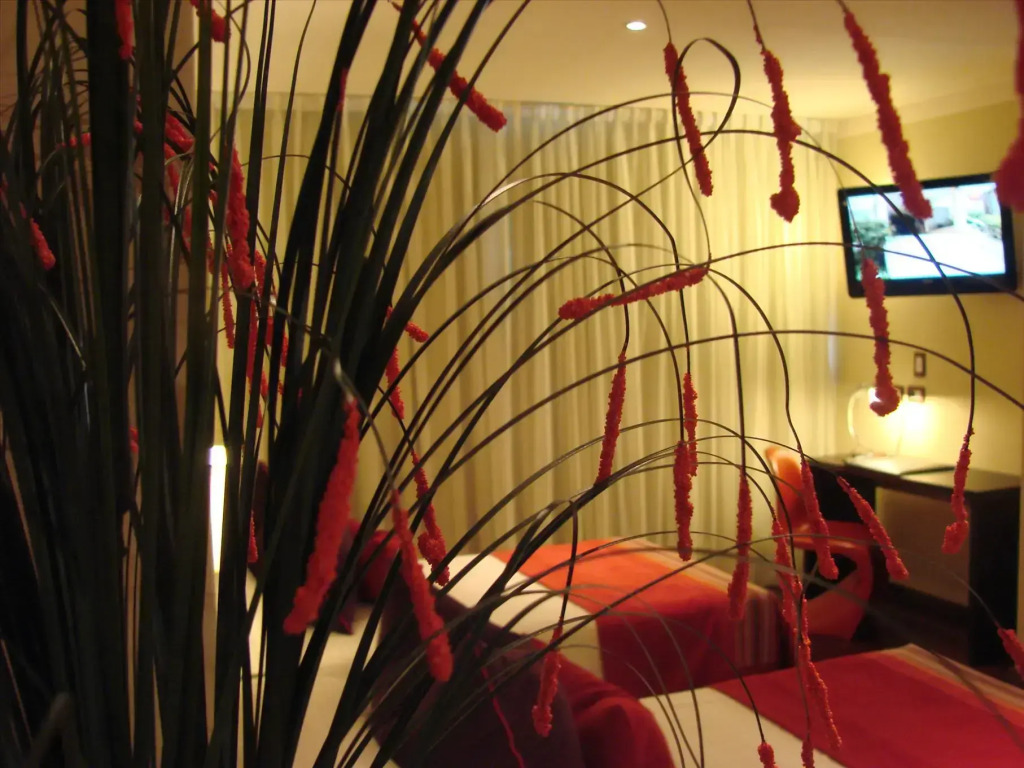 Zoom Apartments Hotel