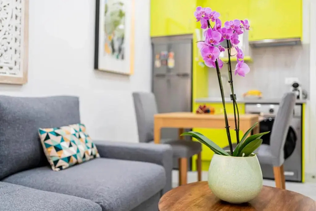 For You Rentals Glorieta de Bilbao apartment EGU4