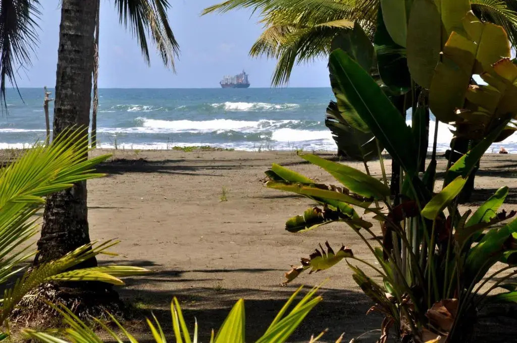 Hotel Playa Westfalia