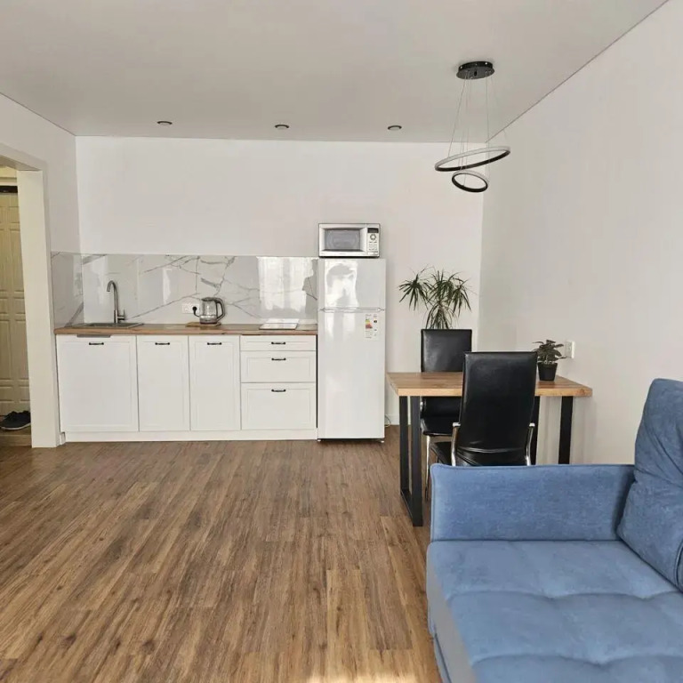 Апартаменты на улице Александра Митинского 4