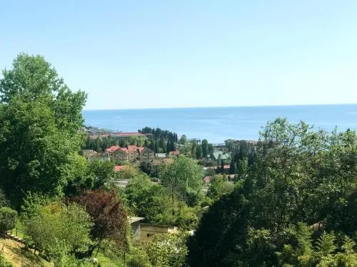 Svetlana Guesthouse