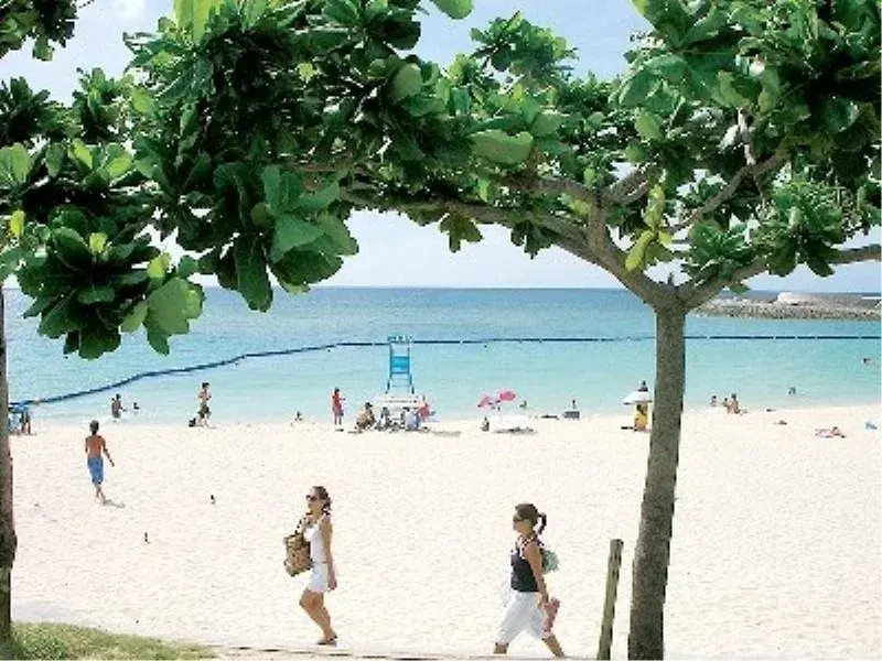 Culture Resort Festone(カルチャーリゾートフェストーネ)