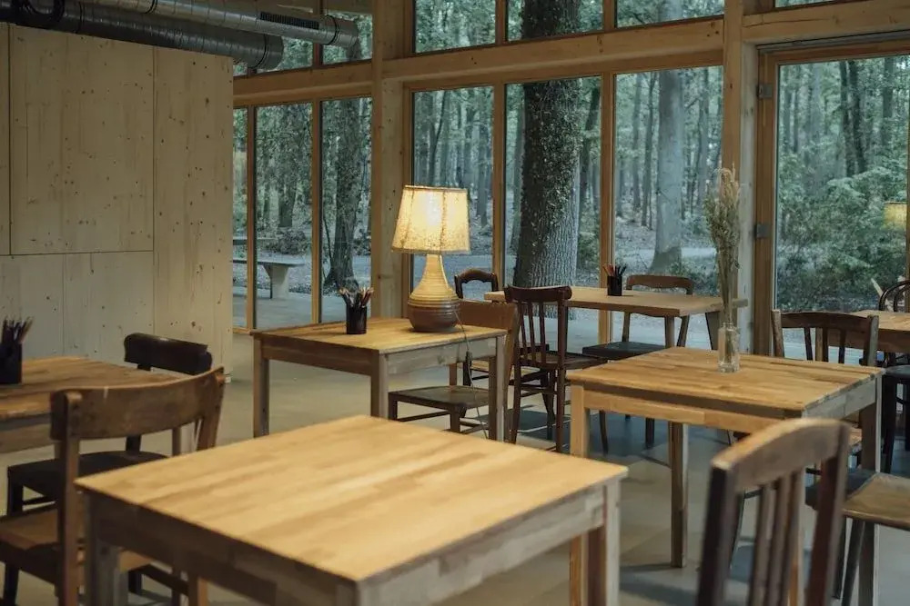 Youza ecolodge cabanes dans les arbres