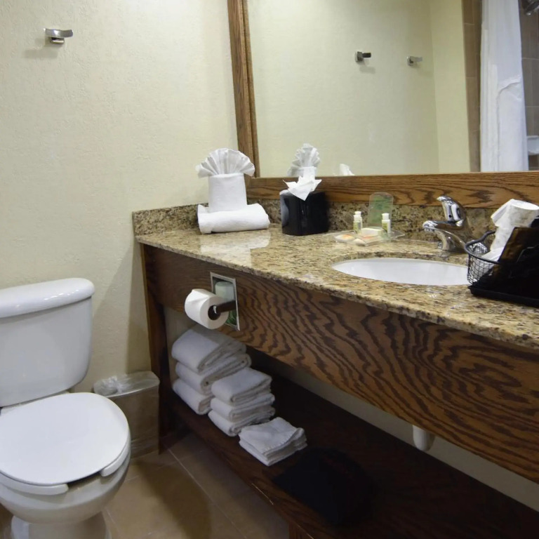 Holiday Inn - Fort Myers - Downtown Area by IHG