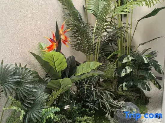 Shangye Mingyuan Homestay