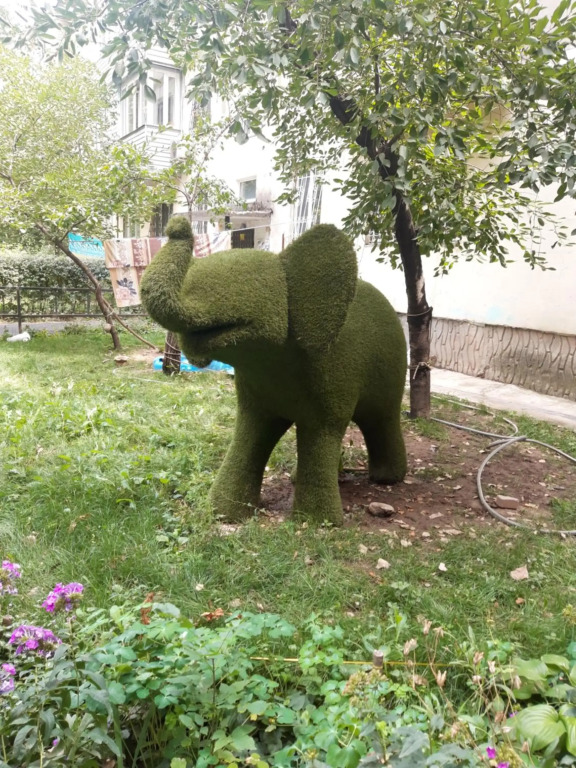 квартира на набережной