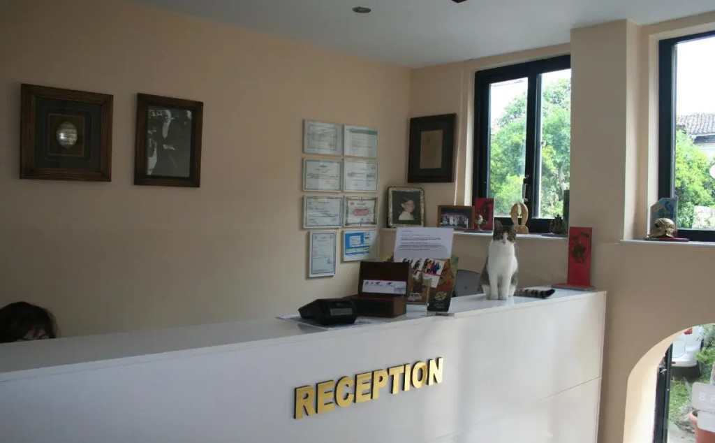 Esras Apartments in the Heart of the City, near Old Town