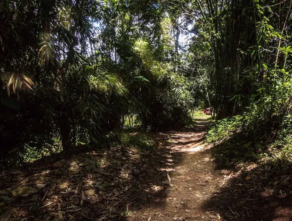 Uravu Bamboo Grove Resort