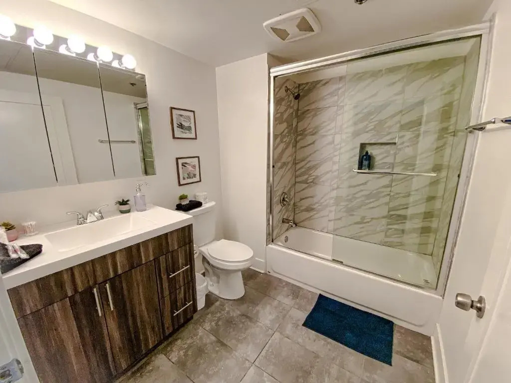Spacious and Luxurious 3br/2ba near McCormick Place with optional parking