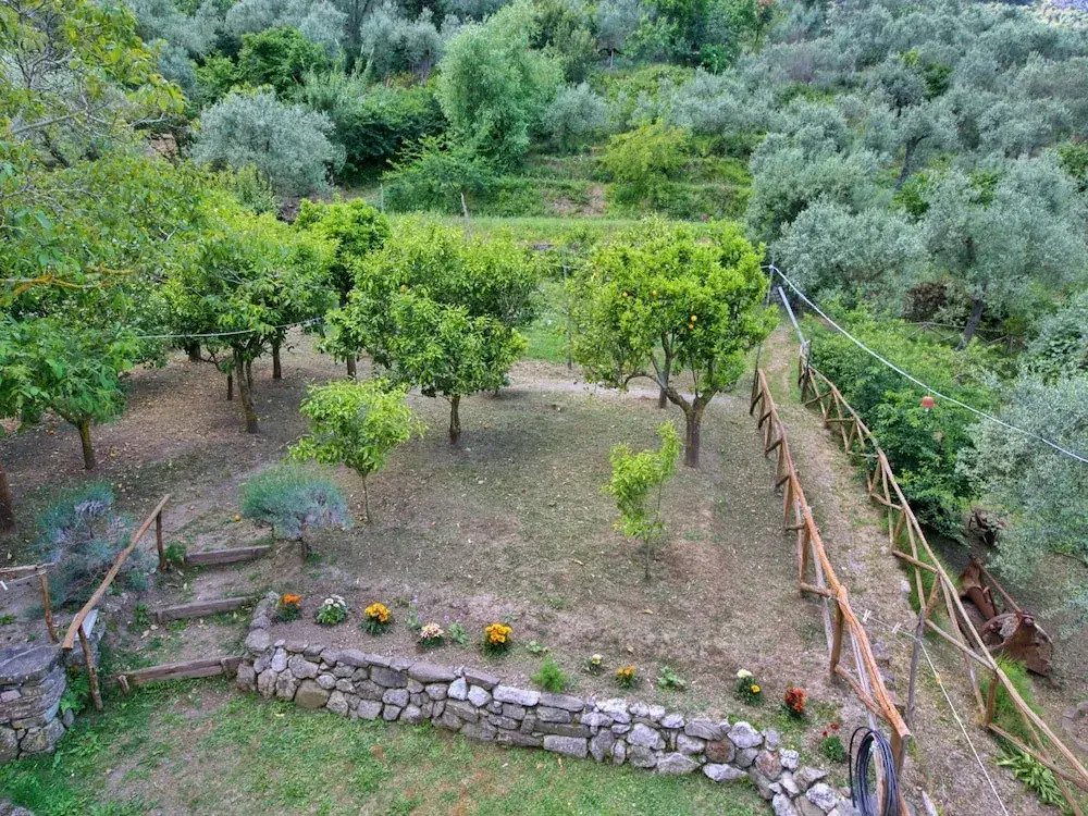 Scenic Sea View Farmhouse in Sant'agnello