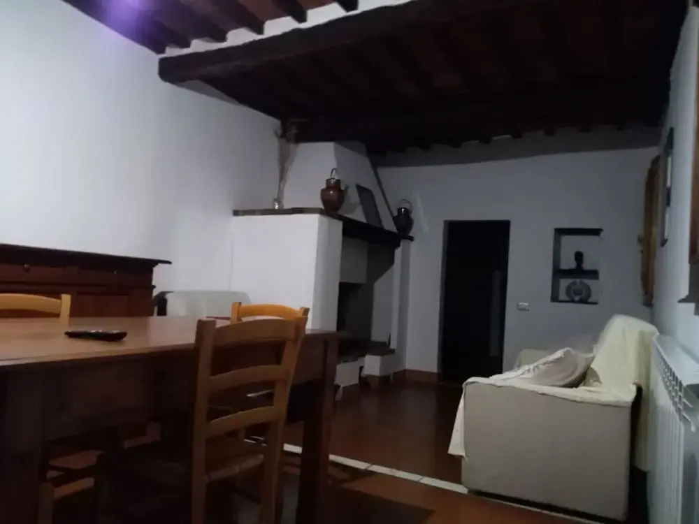 Violino