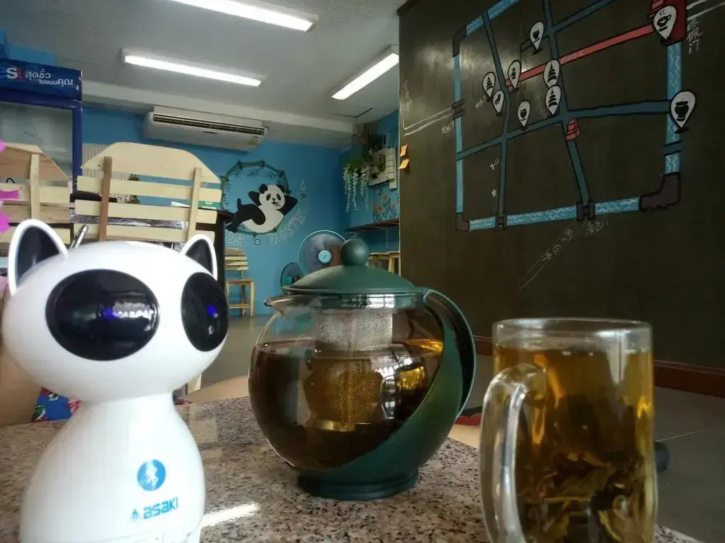 Chiangmai Panda Hostel 2