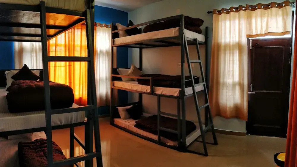 The Bunker Hostel - Dharamkot