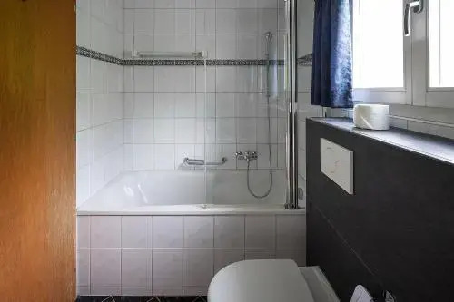 Apartment Jungfrau Lodge