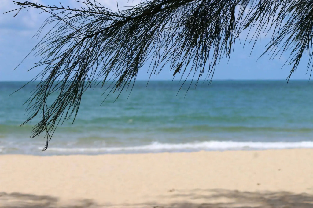 White Lotus Resort
