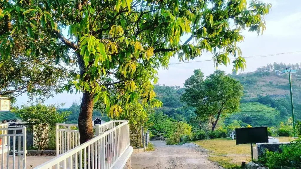 Willow House Vagamon