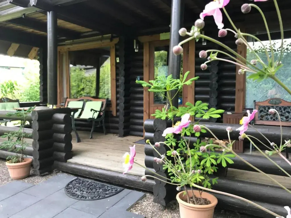 Eifel-Lounge Blockhaus