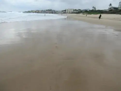 Dolphin View 308