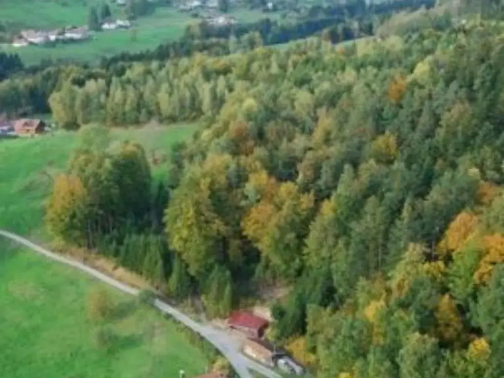Gîte rénové avec randonnées et ski à proximité, à 6 km de Remiremont - FR-1-589-151