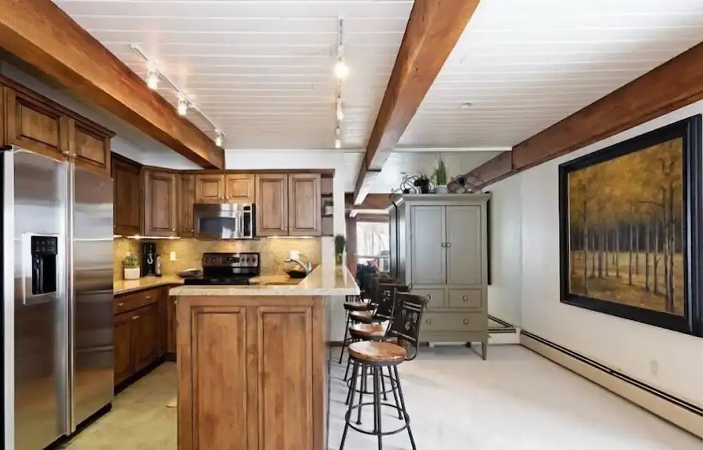 Snowmass Village 2 Bedroom Platinum-Rated Ski In, Ski Out Condo