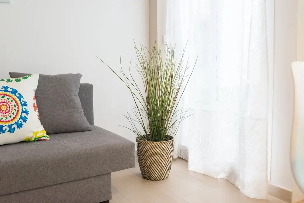 Beautiful & Cozy Apartment