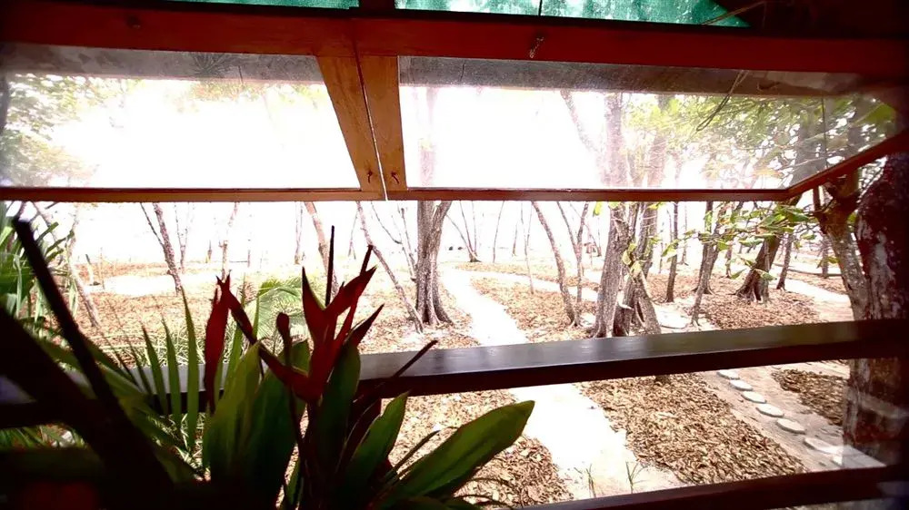 The Red Palm Villas