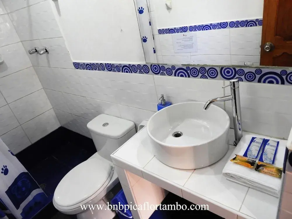 Picaflor Tambo Guest House