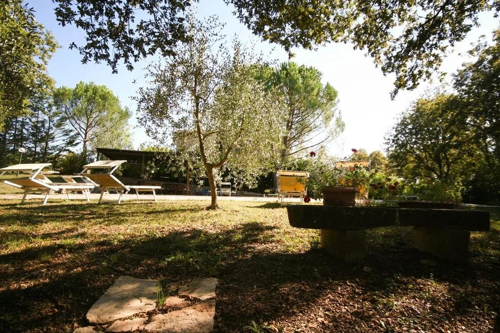 Podere Il Trebbio