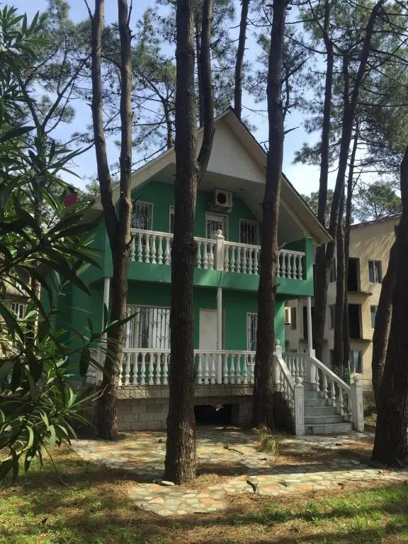 Green House