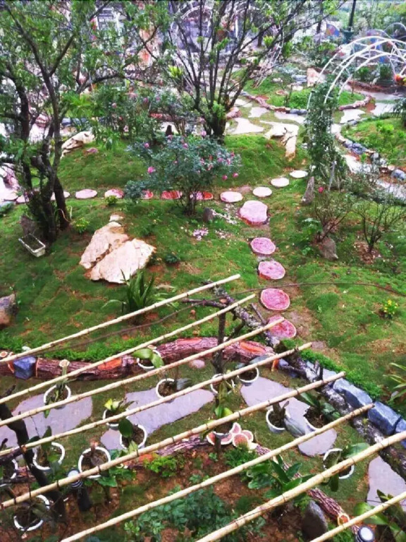 Homestay Discovery Sapa