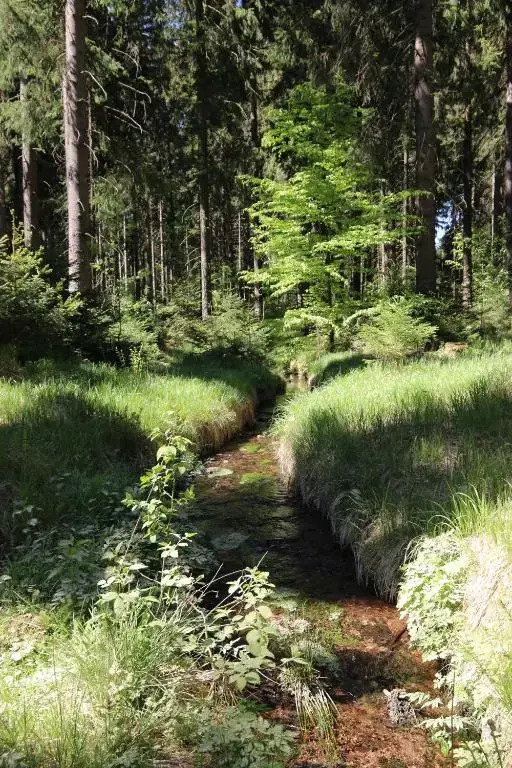 Erzgebirgsferien
