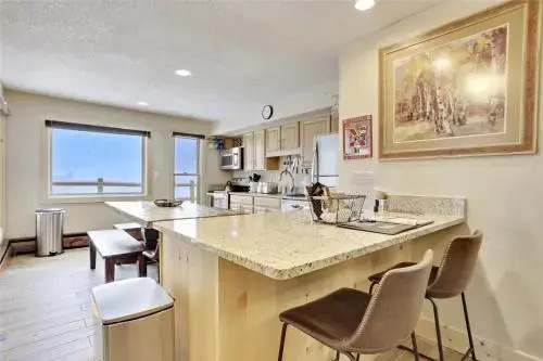 Skiwatch 102 - 2 Br Condo