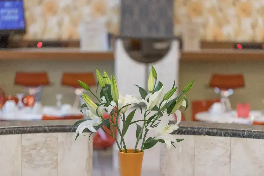 My Athens Hotel