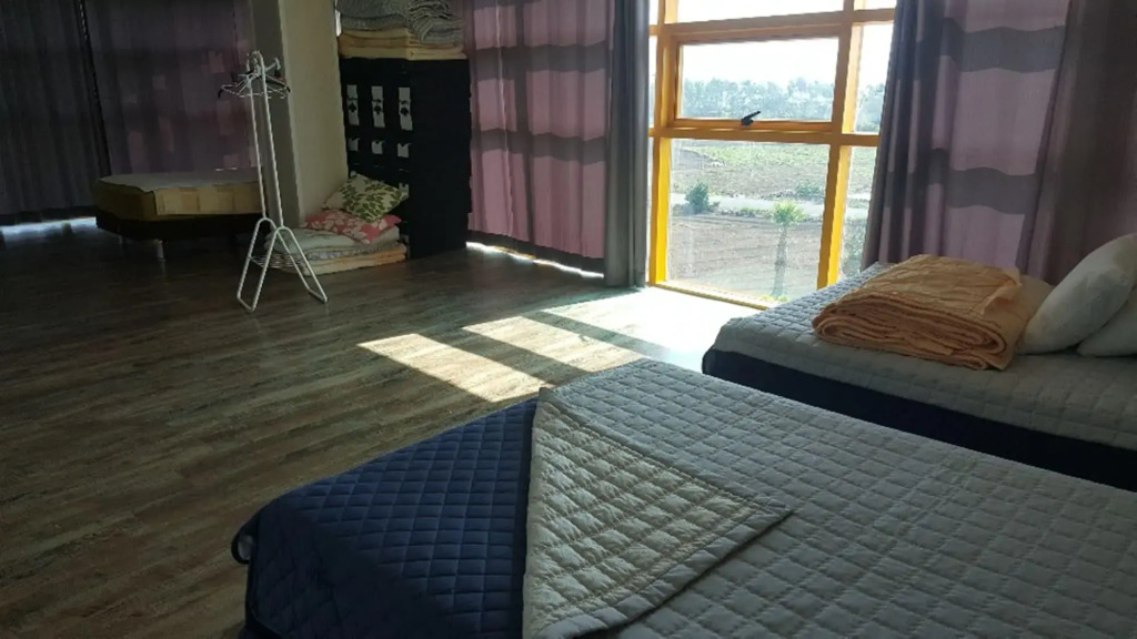 The Freedom - Hostel