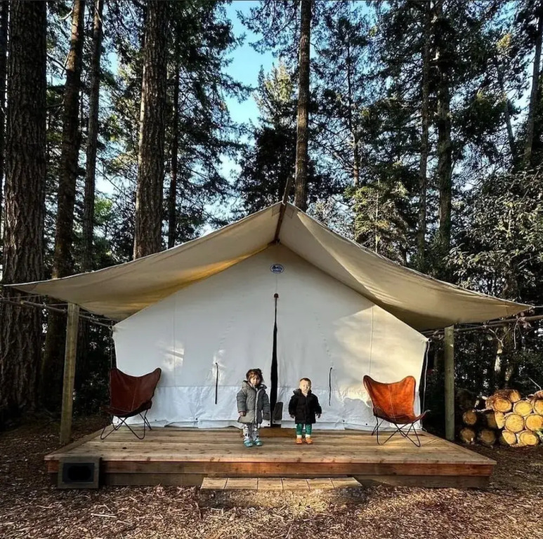 Mendocino Grove