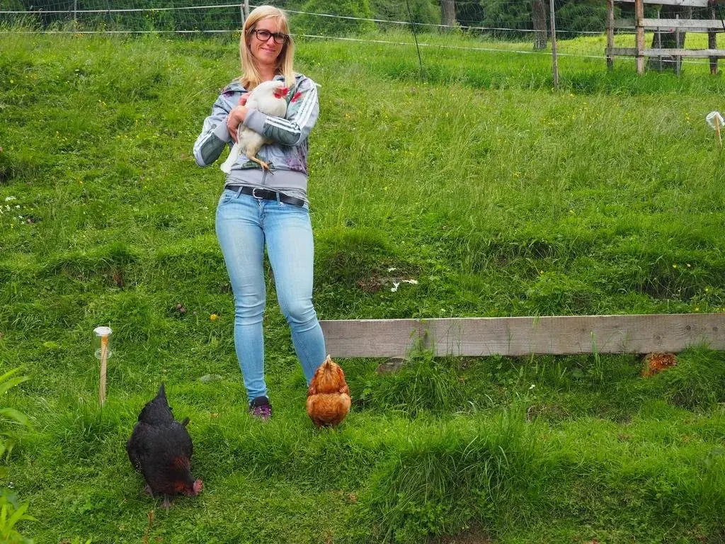 Bio-Bauernhof Grillschmied