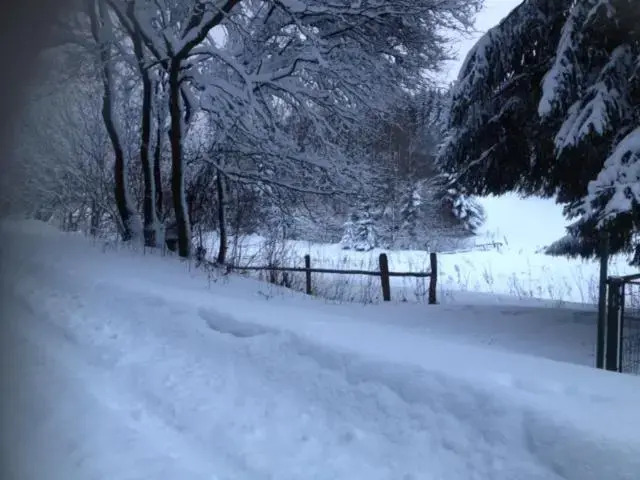 Chalet Le Grand Cerf