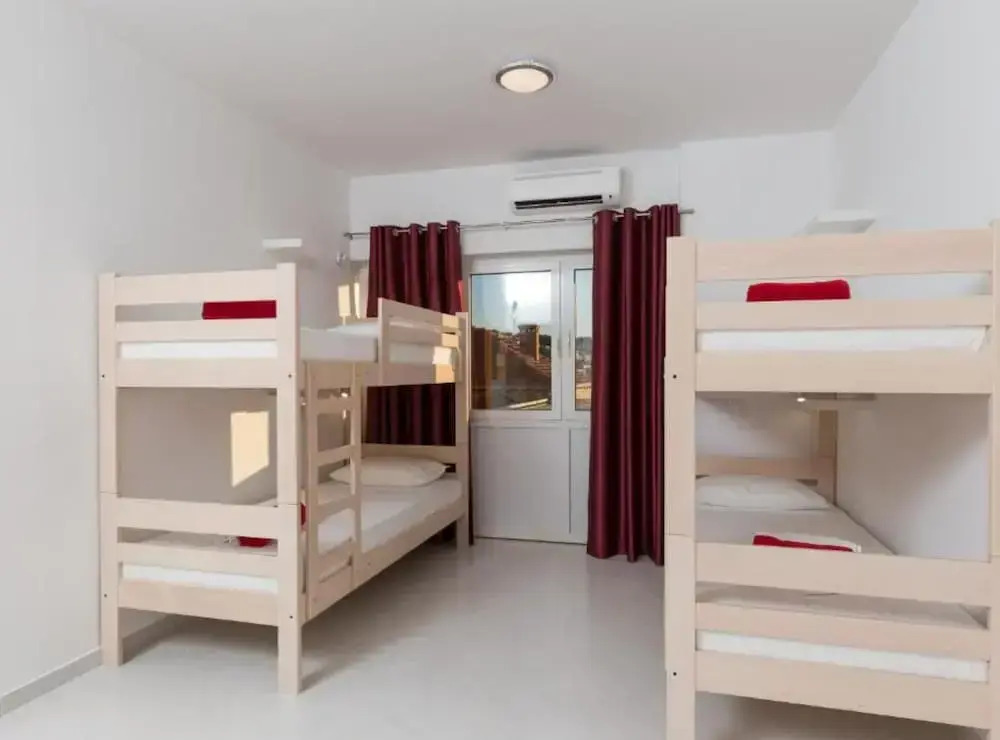 Hostel Free Bird