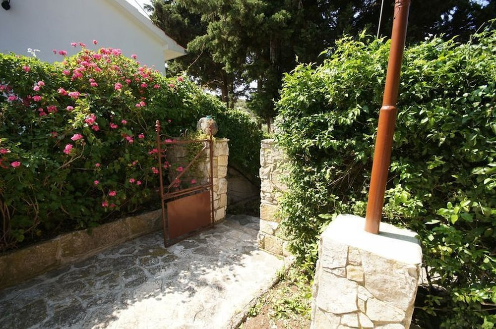 House Paulo3