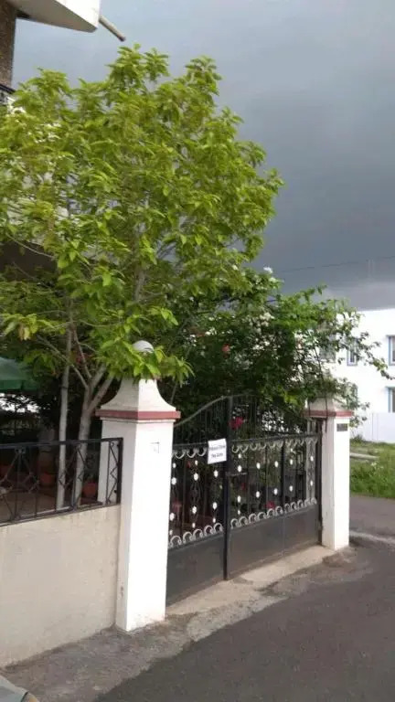 Bougainvilla Home-Behind Pune Airport
