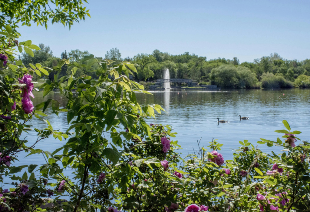 Holiday Inn Express & Suites-Regina-South by IHG