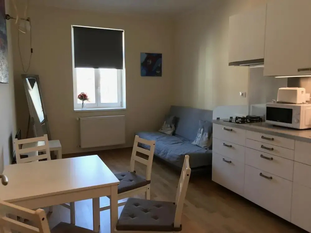 One-bedroom apartment near I.P.Pavlova