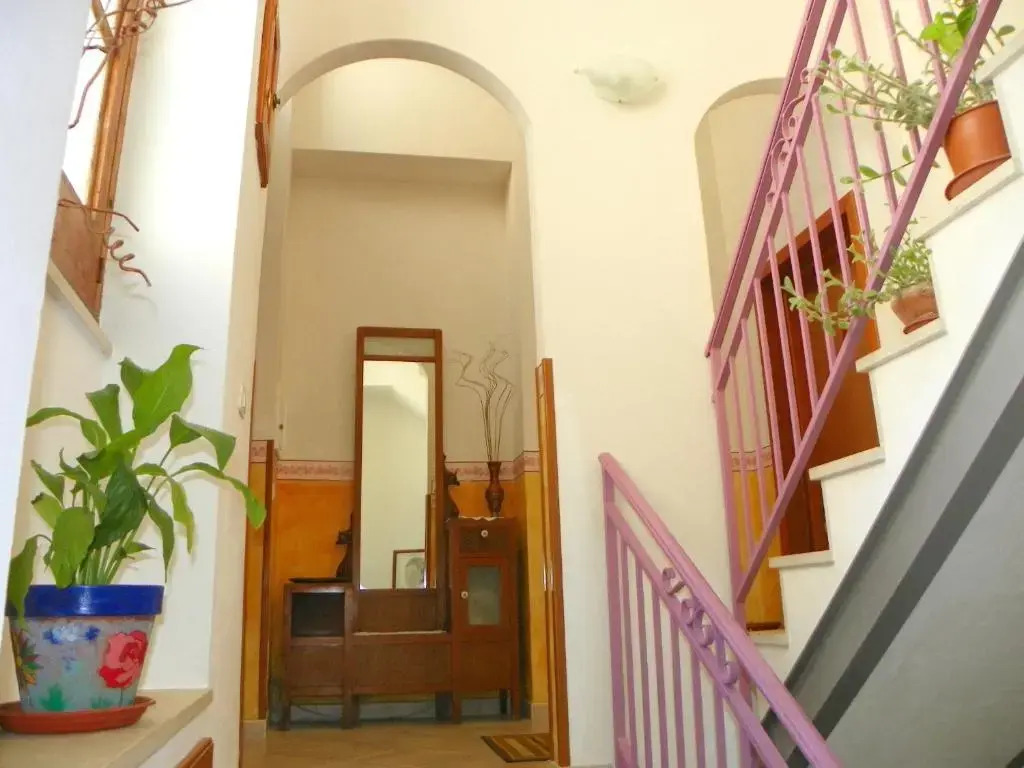 Cloris Guest House