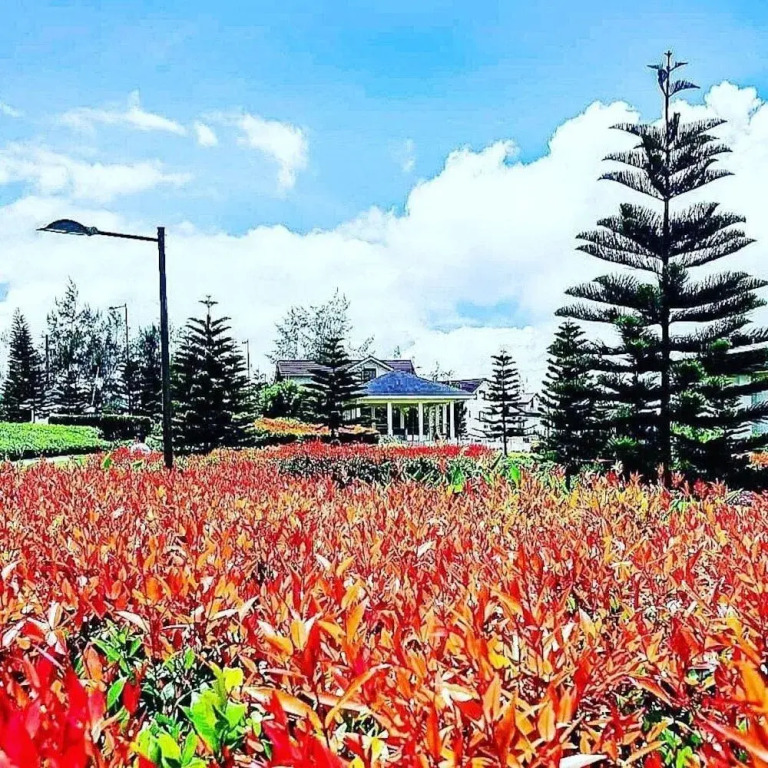 Wind Residences Condotel