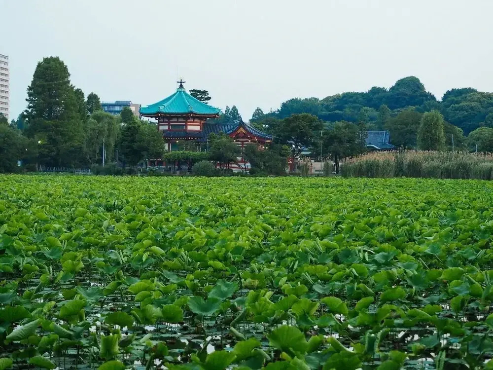寅ホテル 台東 Hotel 寅 台东 Tora Hotel Taito D
