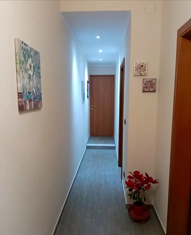 SoleLuna 319