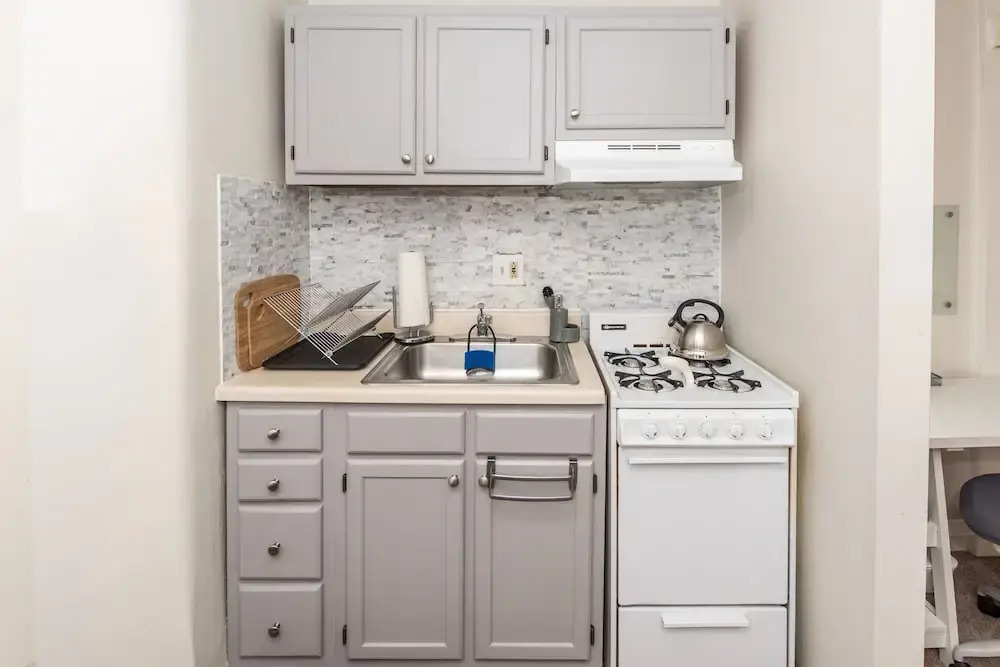 CH2 & CH3 - Fully Furnished Spacious Oasis Dog-friendly 2BR Capitol Hill